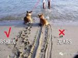 ĆABS׌붮