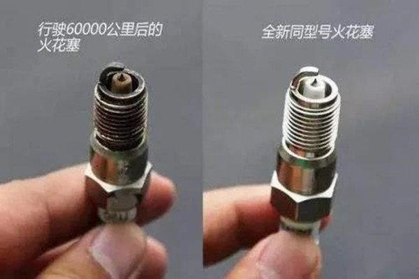 3_.jpg