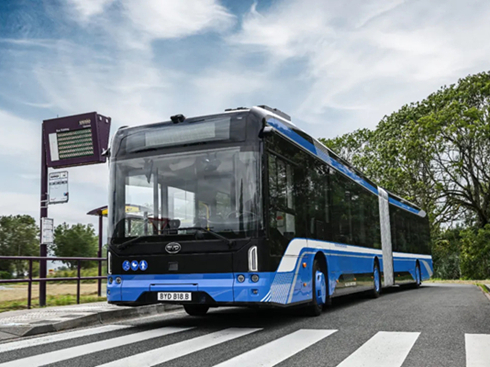 yȫW늄Ӵͼȁ2025r܇չ