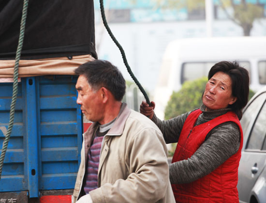 ܇˾C201311 003.jpg