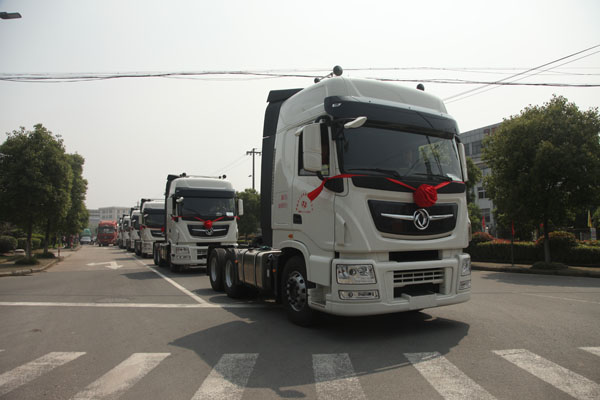 IMG_8446.JPG