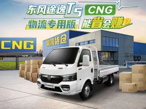 p؛\(yn)I(lng)ߣ|L(fng);T5 CNG(zhun)ð`â 