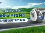 HWP15NG׌r