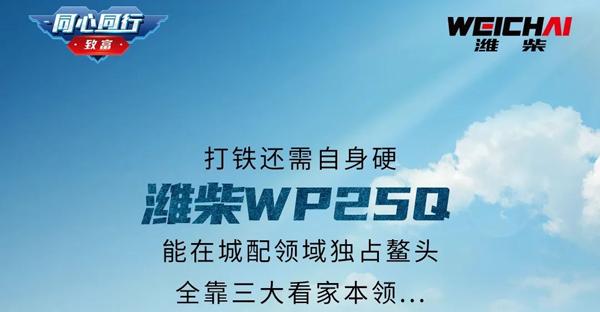 IHWP25Q߳I