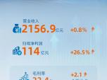 2024Hwĸ26.5%