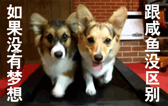 image001.gif