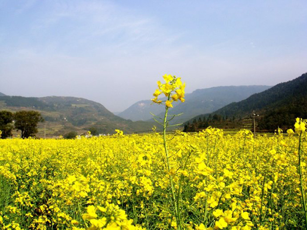 image008.jpg