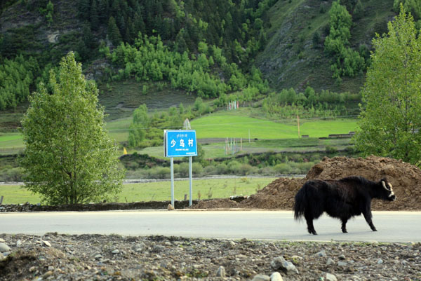 image013.jpg