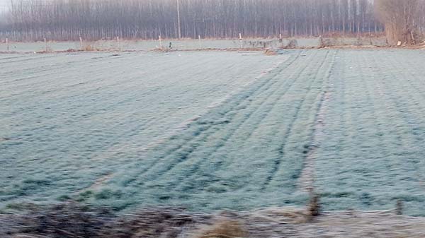 image079.jpg