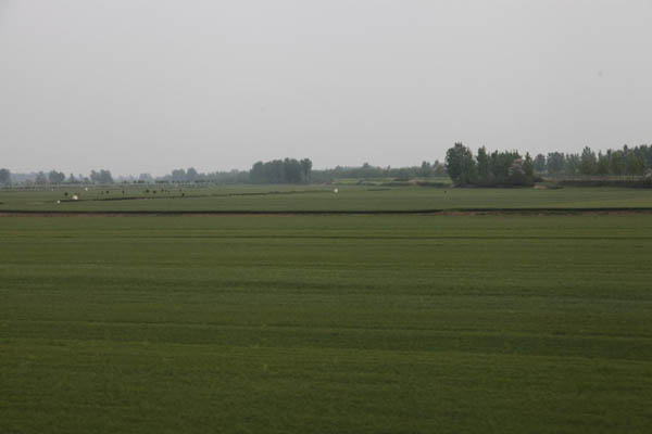 image025.jpg