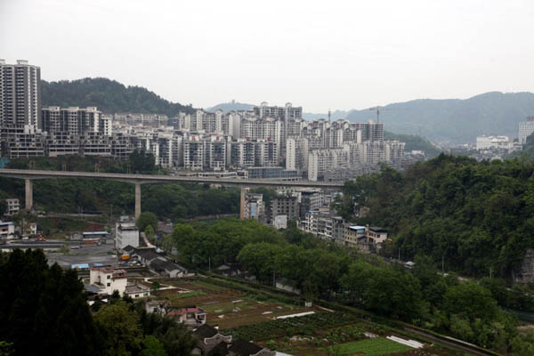 image001.jpg