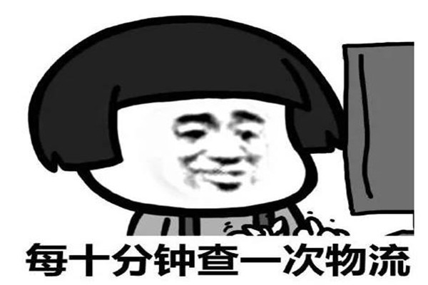 5_.jpg