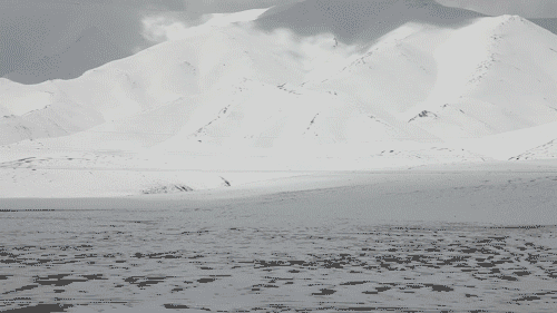 image010.gif