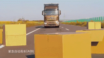 image010.gif