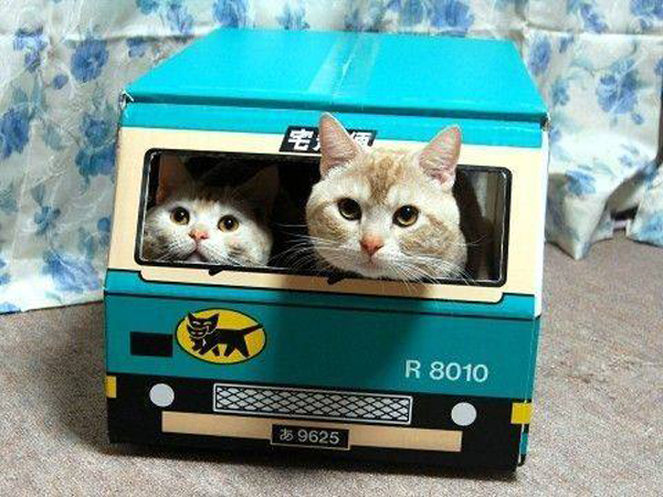 image039.jpg